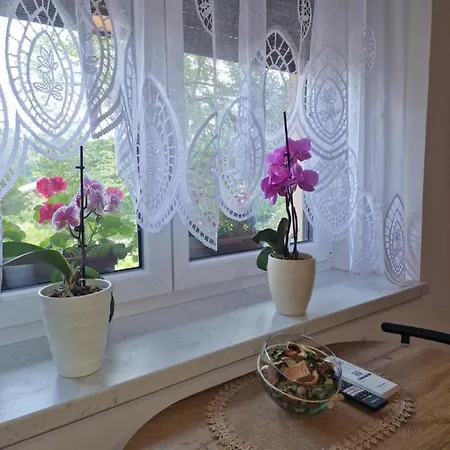 Greg'S Rooms Ilirska Bistrica Exterior photo